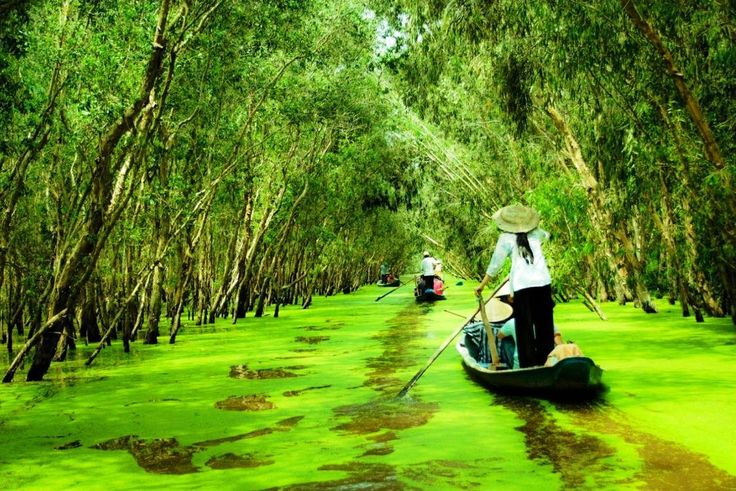  Tour du lịch sinh thái miền Nam